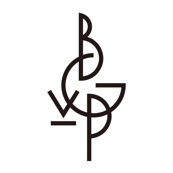 BGVP DIFFERENT PRICE